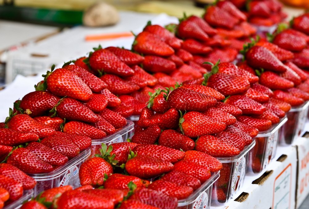 Photograph by Владимир Брагилевский