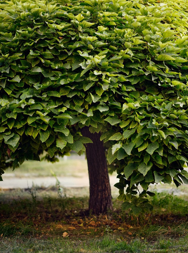 Photograph by Татьяна Калюжина