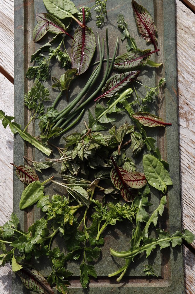 Photograph by Olga Bondarenko