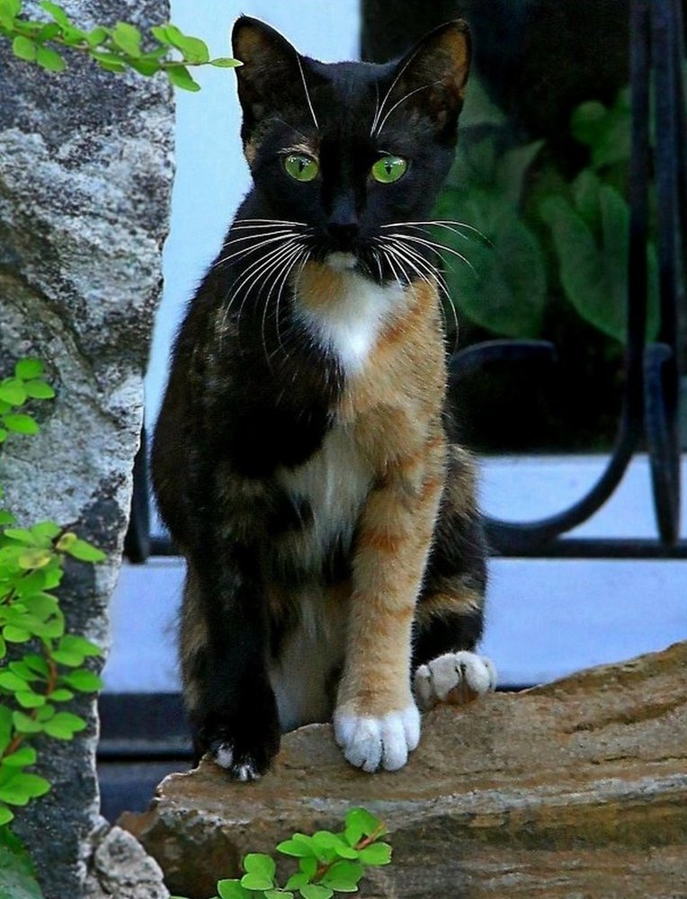 Photograph by Юрий Ковшов