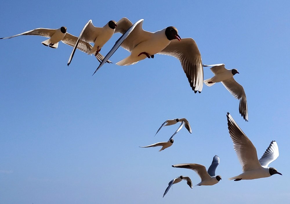 Photograph by Екатерина Бевзенко