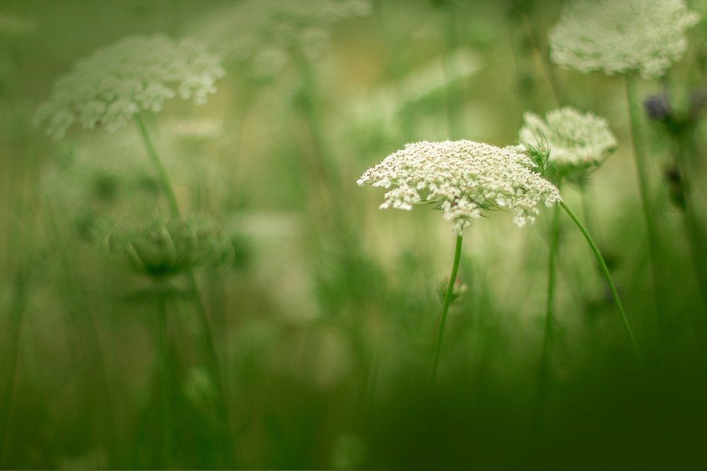 Photograph by Maria Hij