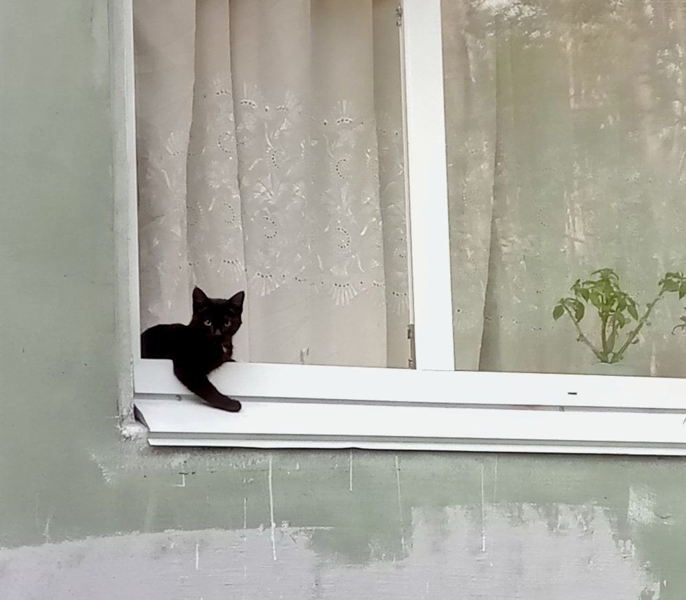 Незнакомка.