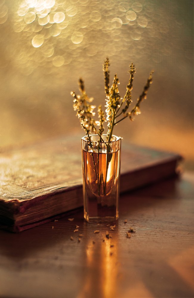 Photograph by Рут Андрей