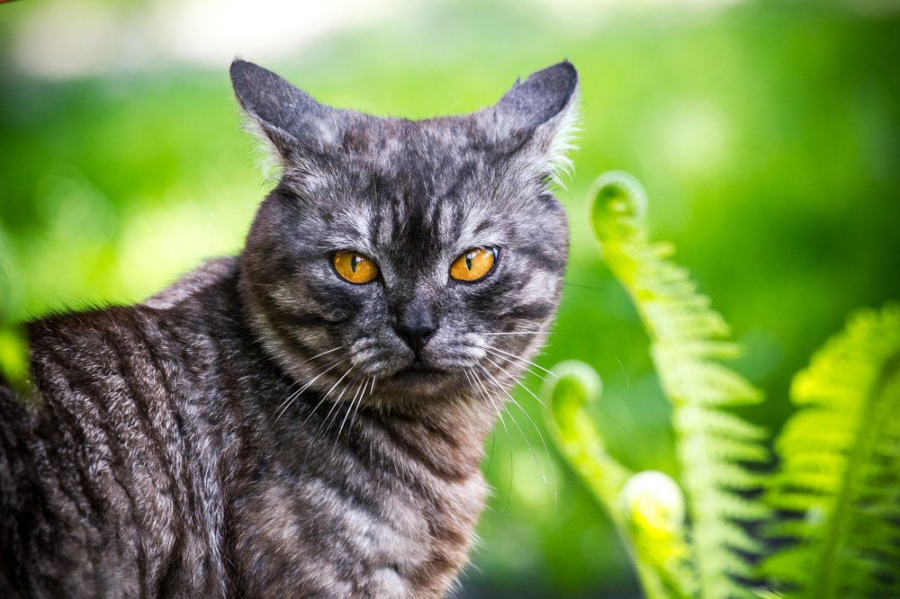 Photograph by Ян Кемпи