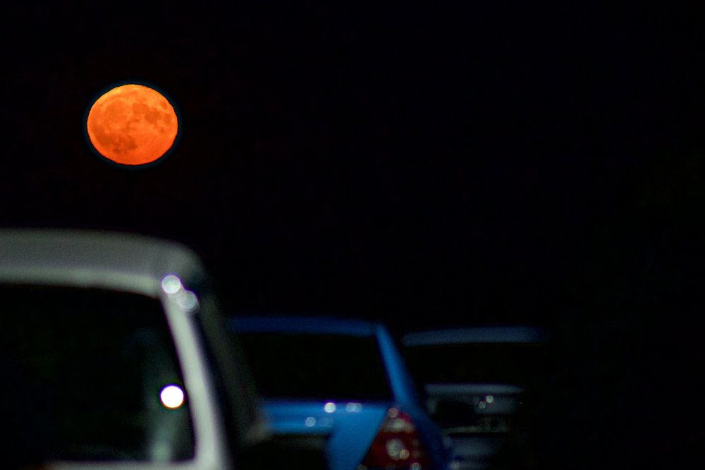 Photograph by Илья Ушак