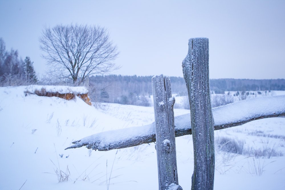 Photograph by Ян Кемпи