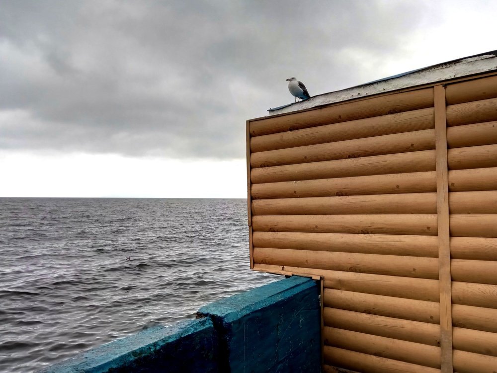 Наблюдатель.