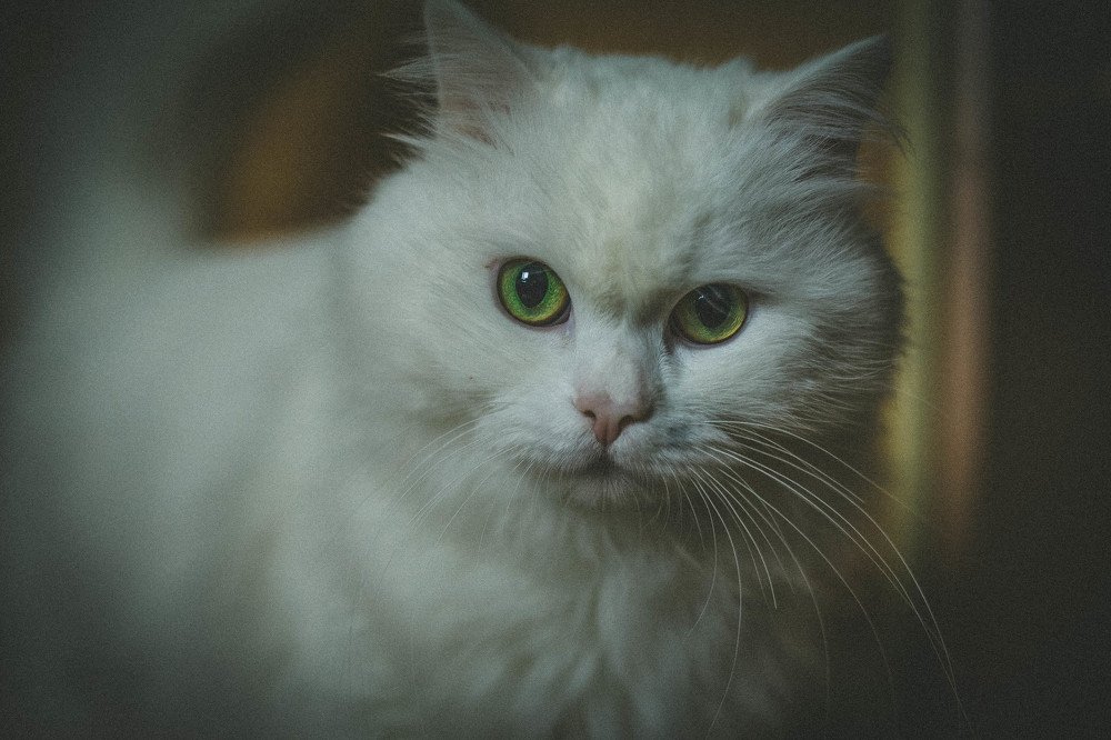 Photograph by Павел Орлов