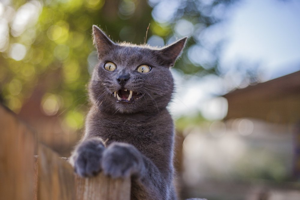 Photograph by Павел Орлов