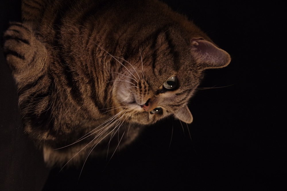 Photograph by Nadezda Sarap