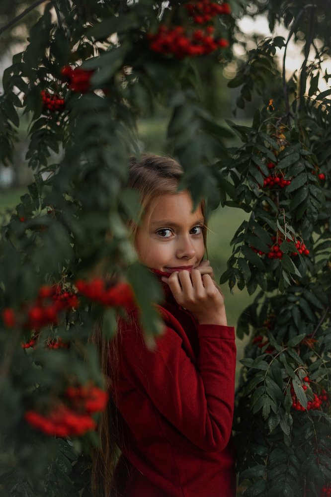 Красная рябина