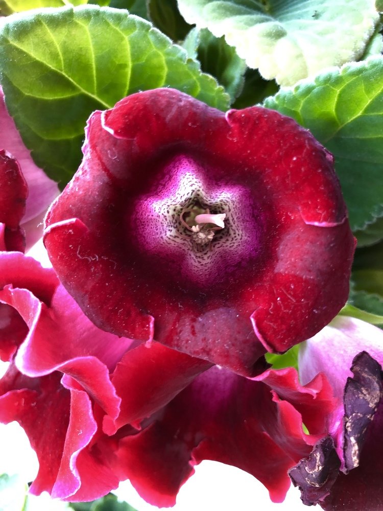 Photograph by karl geisler