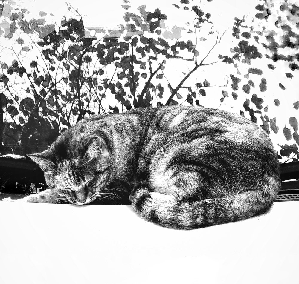 Photograph by Елена Ржевская