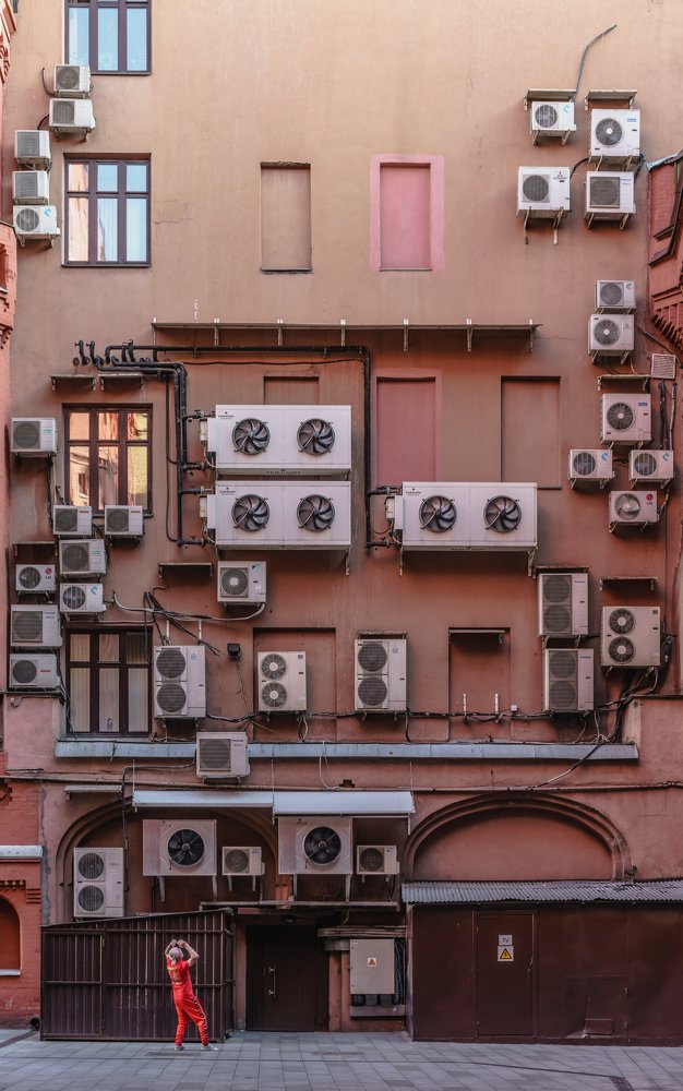 ... urban jungle ...