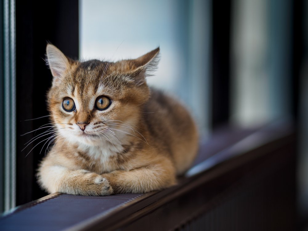 В раздумьях о вечном