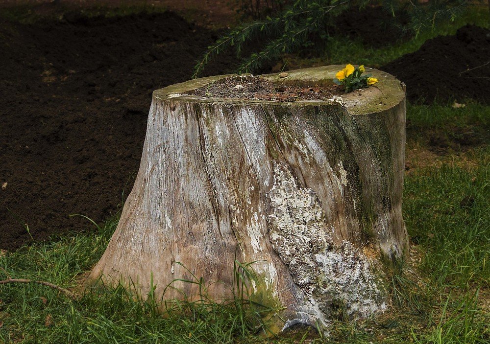 Photograph by Marika Charkviani