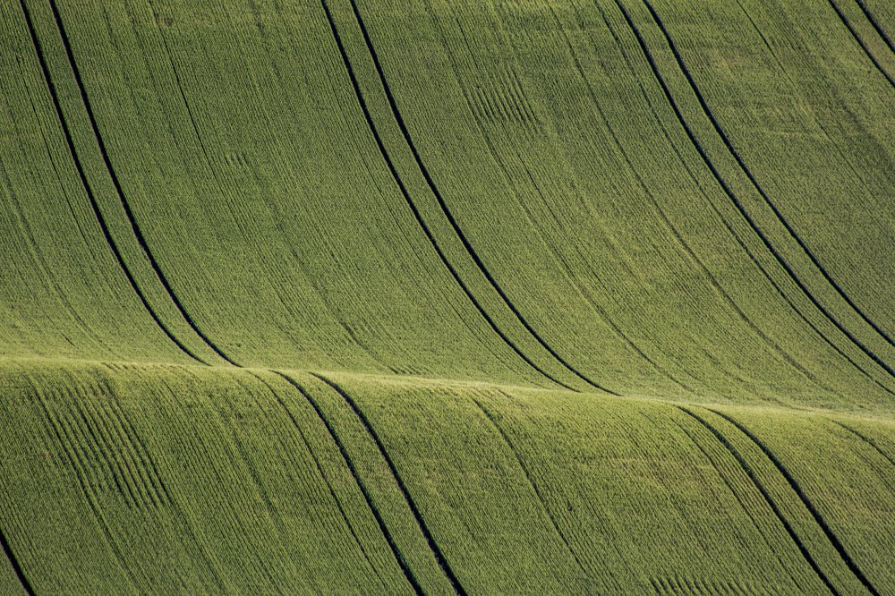 Photograph by Radoslav Strestik