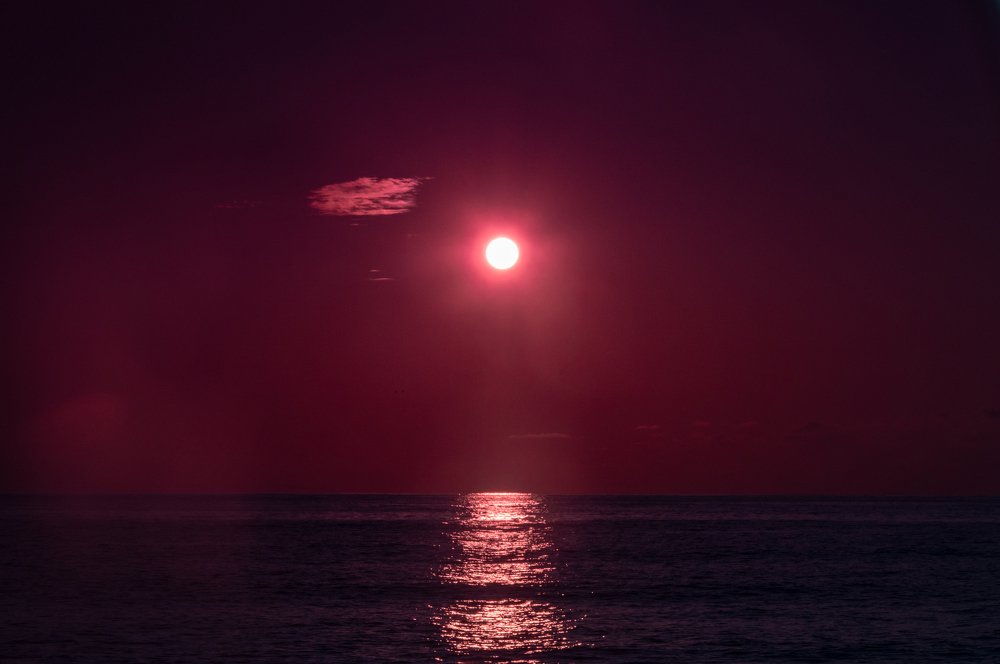 Photograph by Marika Charkviani