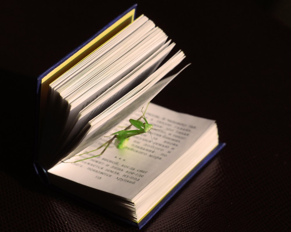 Photograph by Мария Загоревская