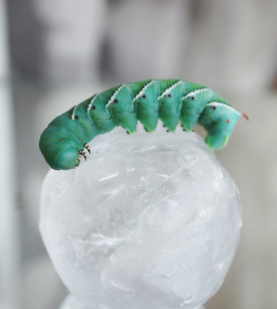 Photograph by Мария Загоревская