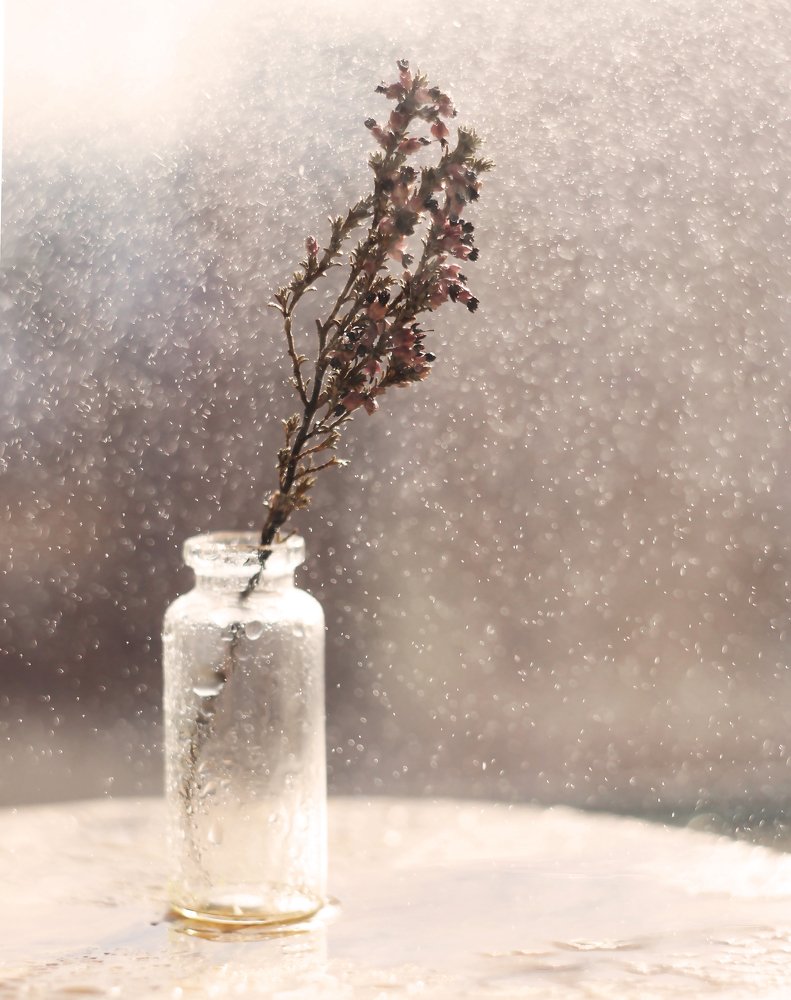 Photograph by Мария Загоревская