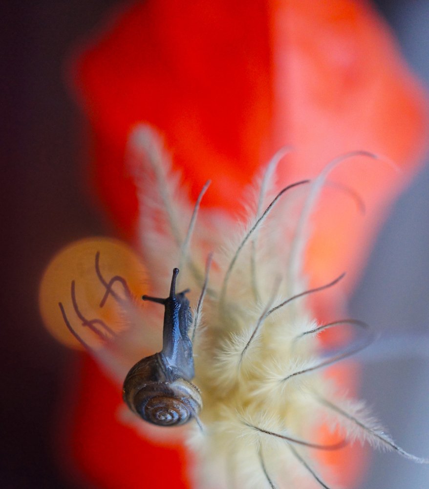 Photograph by Мария Загоревская