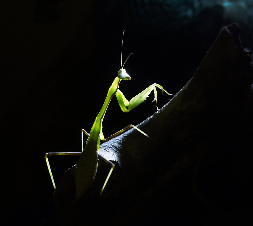 Photograph by Мария Загоревская