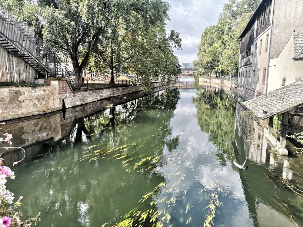 Photograph by Slavica Ribeiro