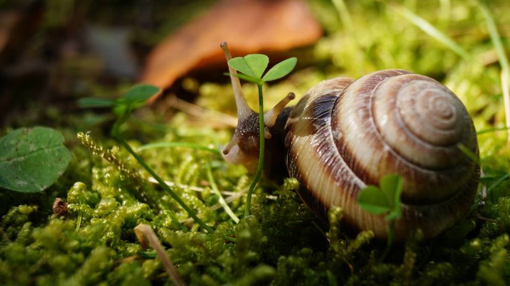 Photograph by Иван Кирилков