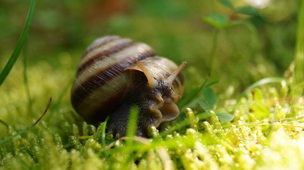 Photograph by Иван Кирилков