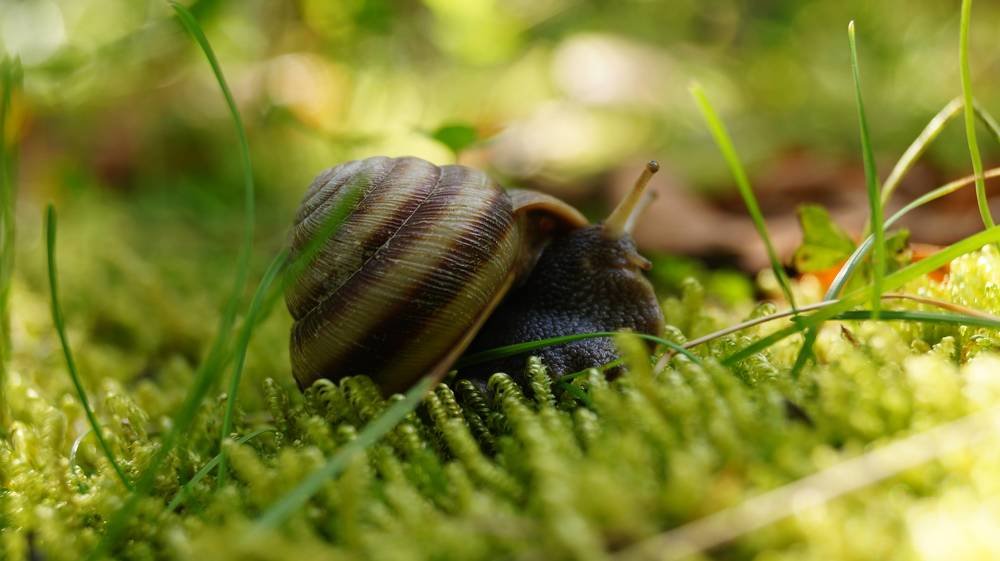 Photograph by Иван Кирилков