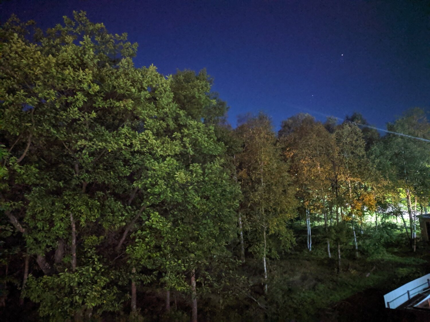 Photo #3609382
