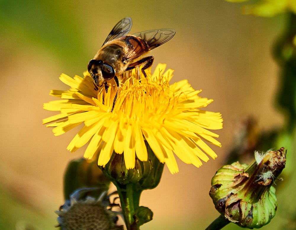 Photograph by Валерий Гончаров