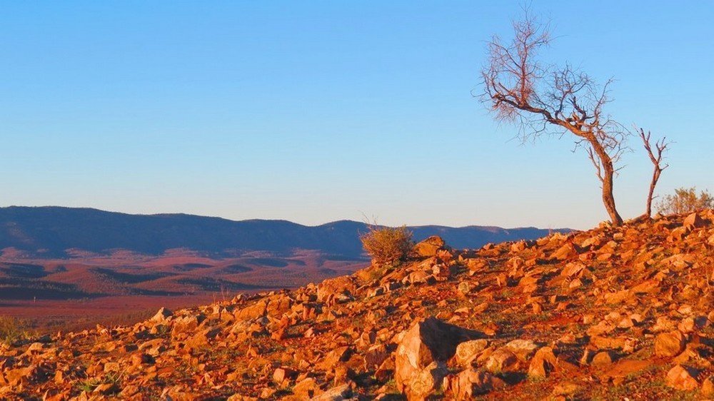 Photograph by Leigh Martin