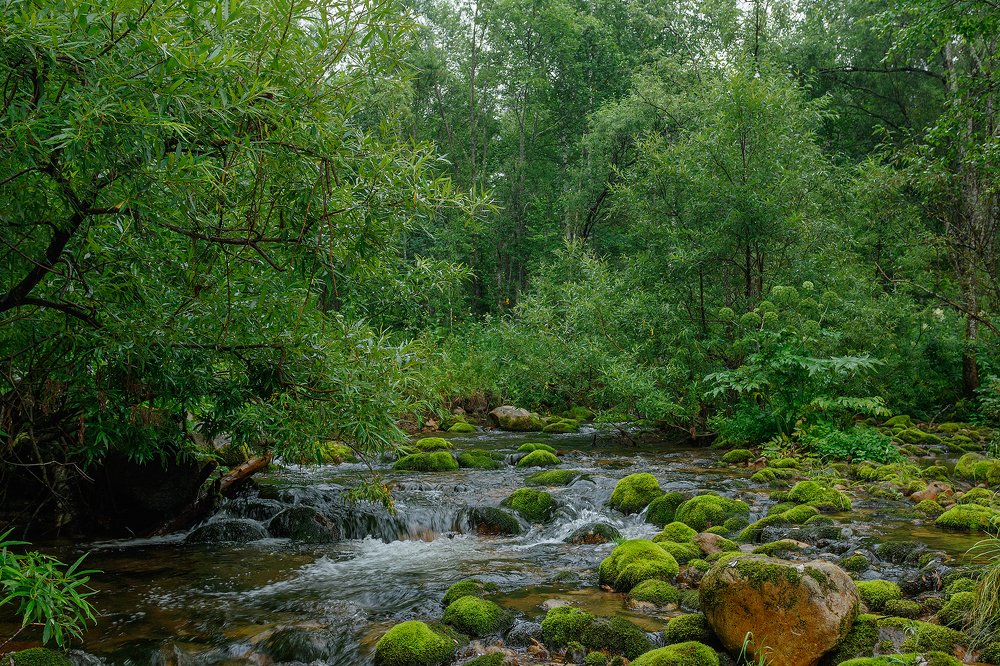 Пасмурно и сыро.