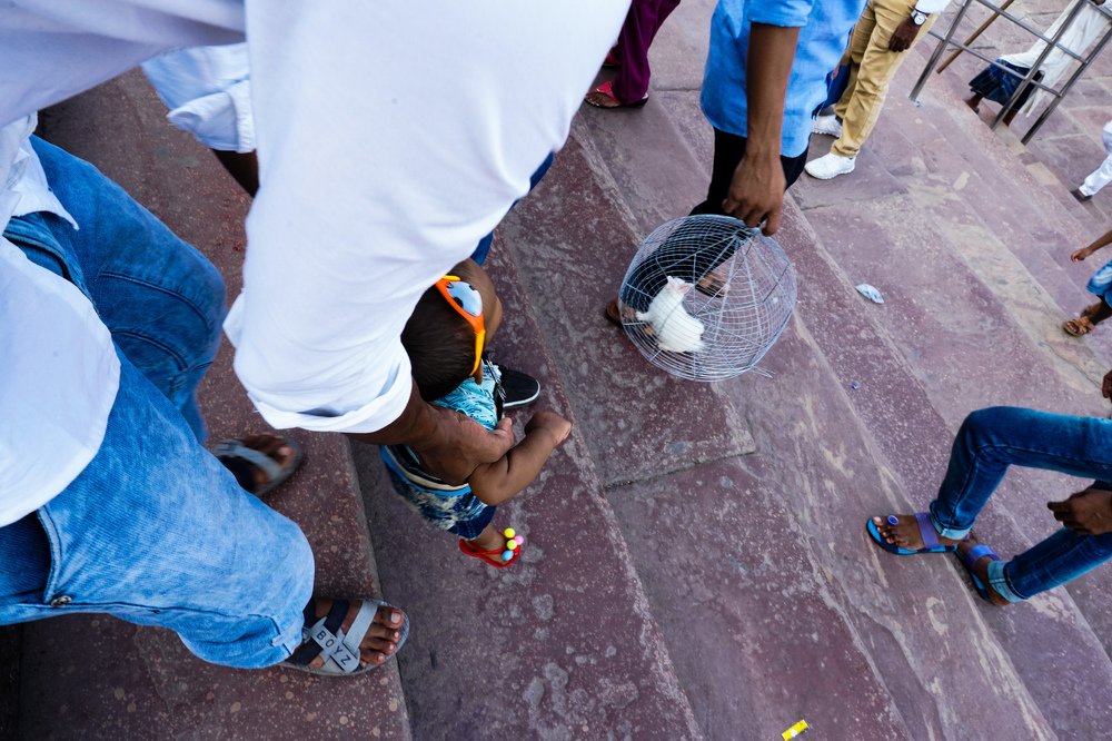 Photograph by kartik pahuja