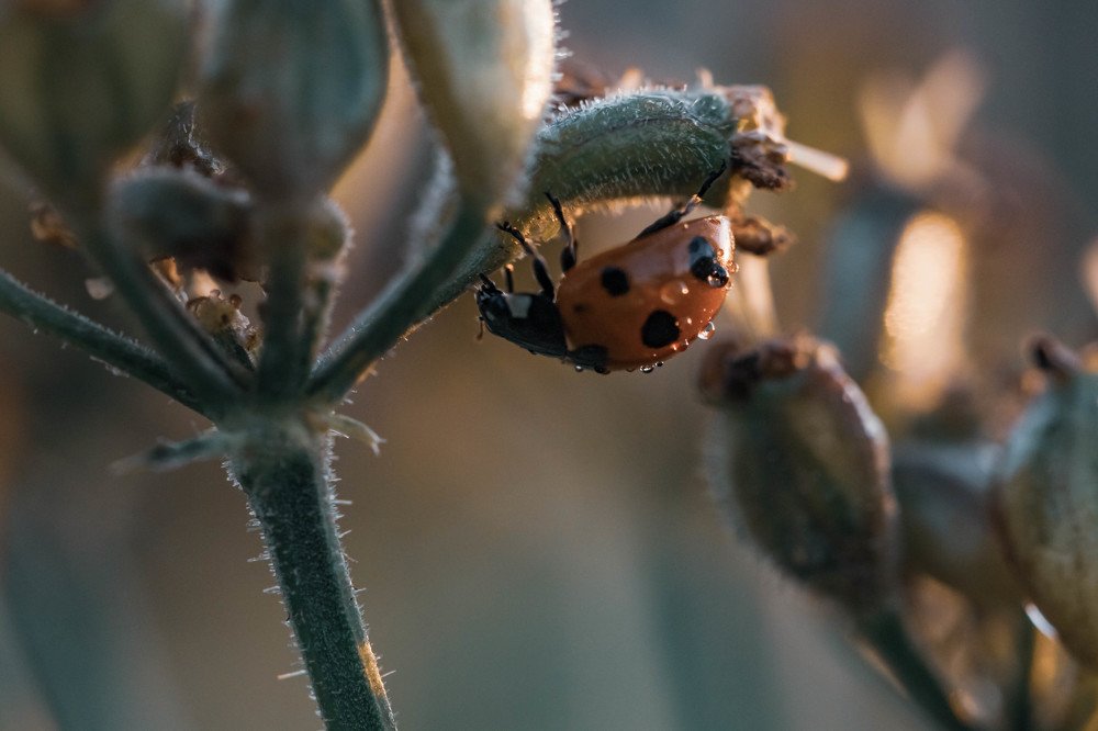Фотография автора Маргарита Басова