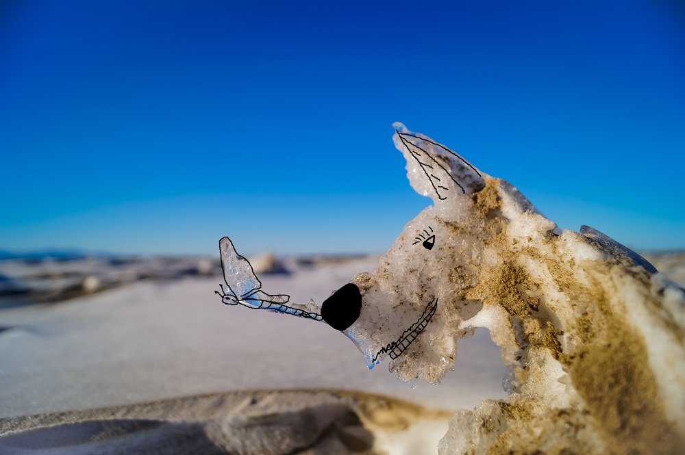 Photograph by Виктор Сёмушкин