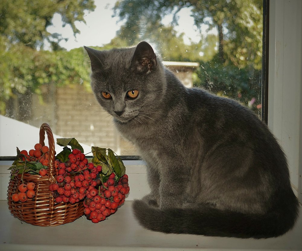 Photograph by Татьяна Рябова