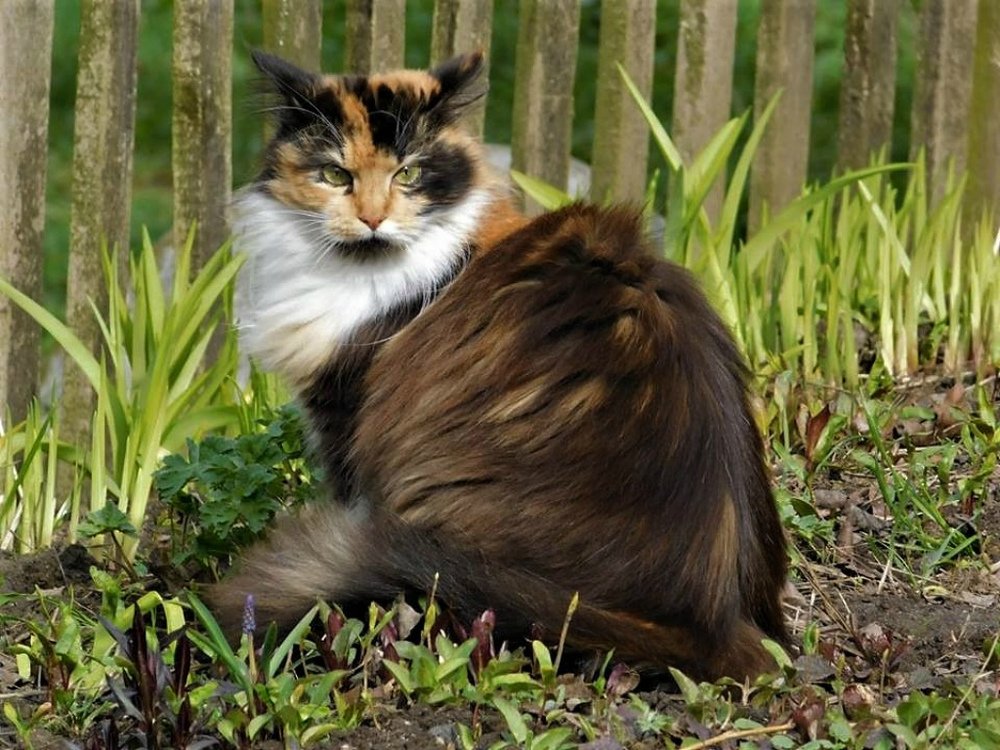 Photograph by Татьяна Рябова