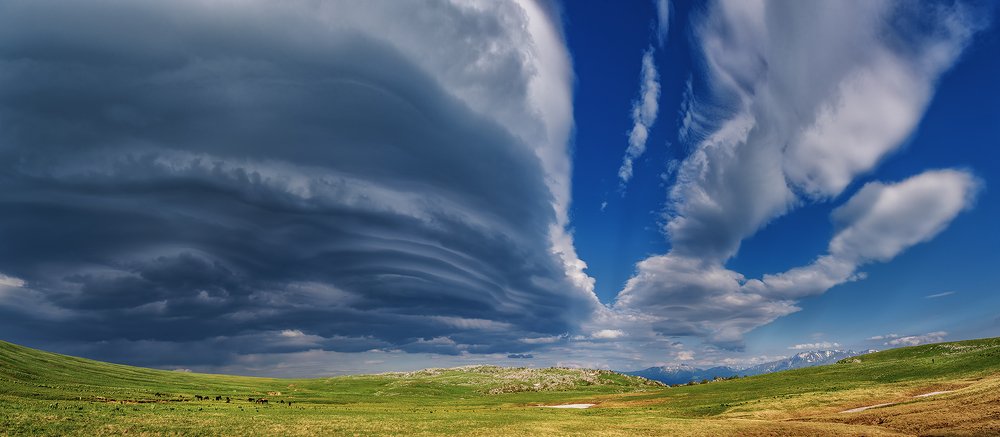 Photograph by Александр Хорошилов