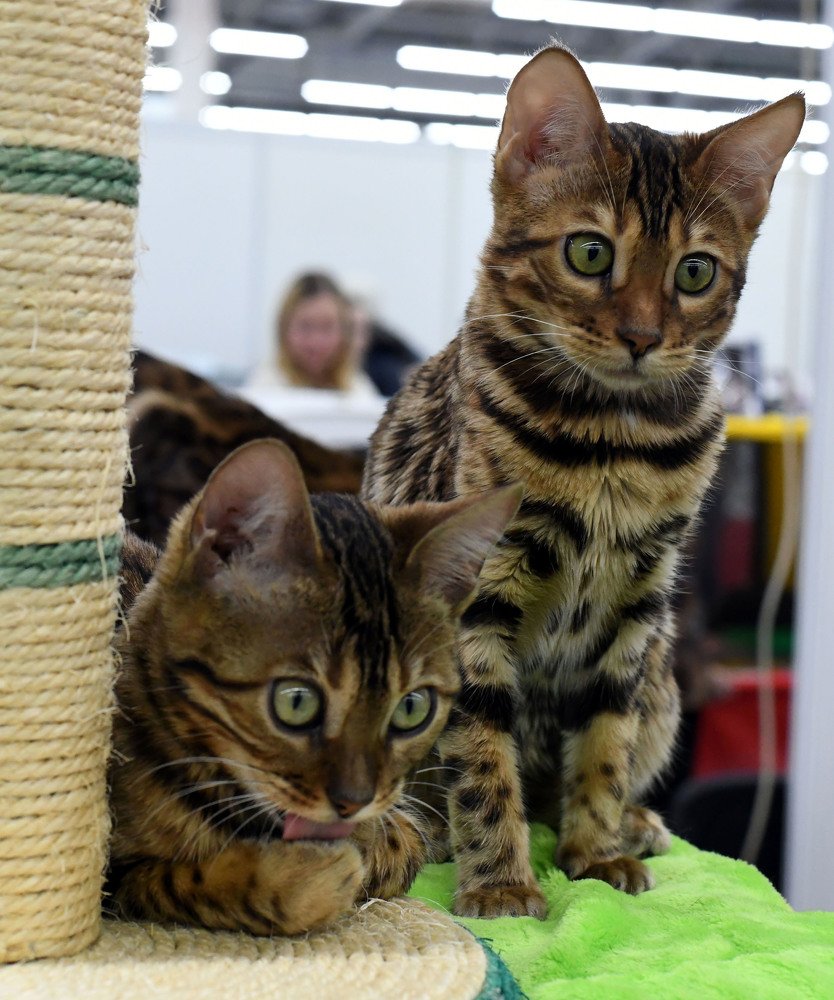 Photograph by Михаил Чепкасов