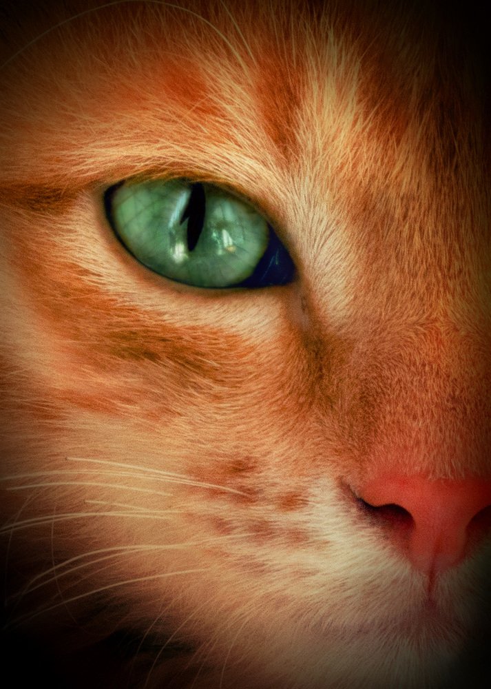 Изумрудный глаз. Солнечный носик. Emerald eye. Solar nose.