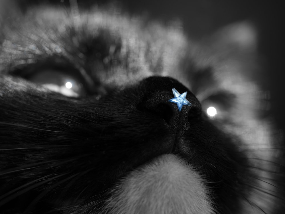 Photograph by Анастасия Егорова