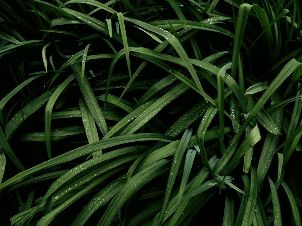 Photograph by Анастасия Егорова