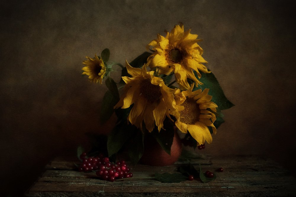 Photograph by Екатерина Дьячкова