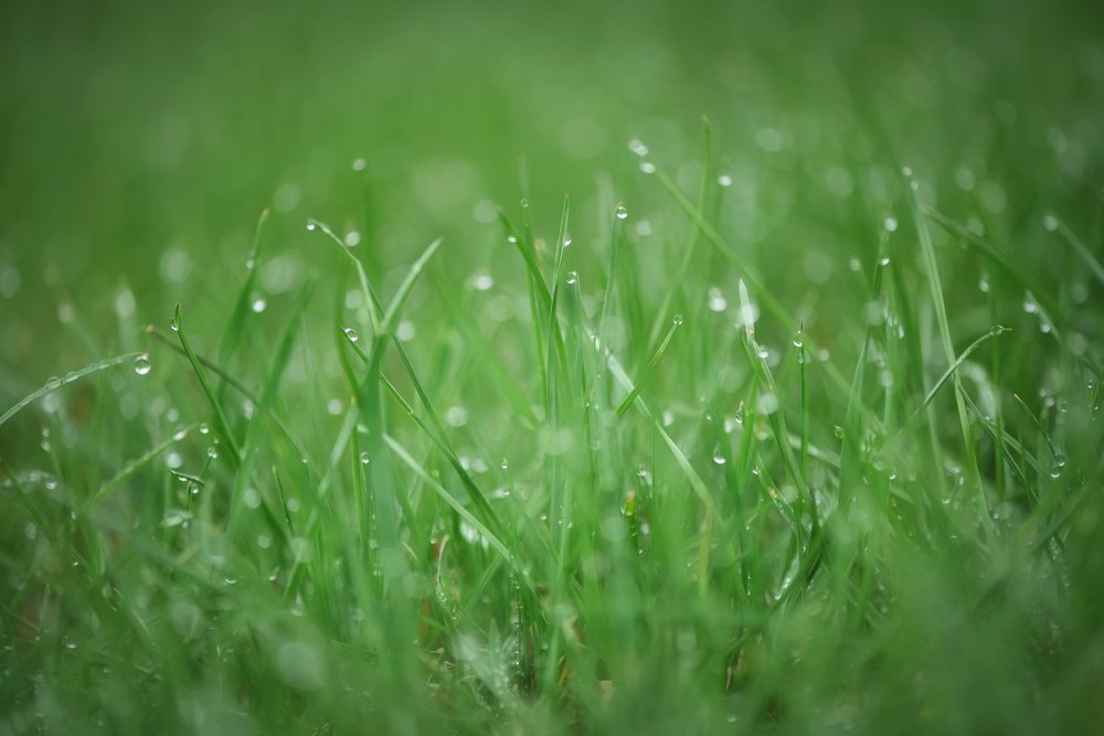 Photograph by Виктория Мейо