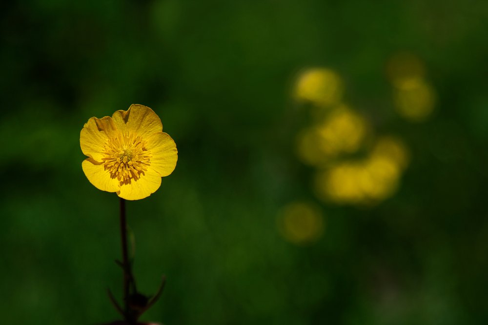 Photograph by hamed moradi