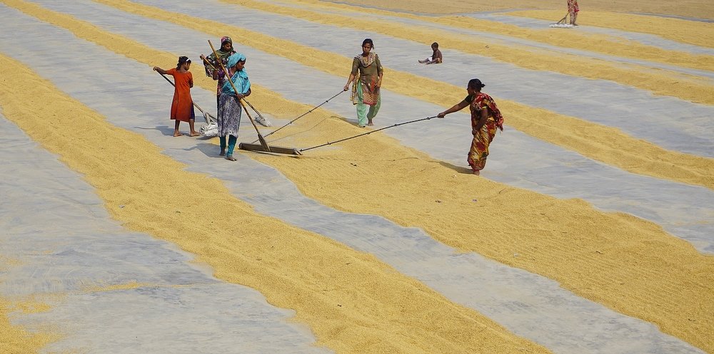 Photograph by kazi arifuzzaman